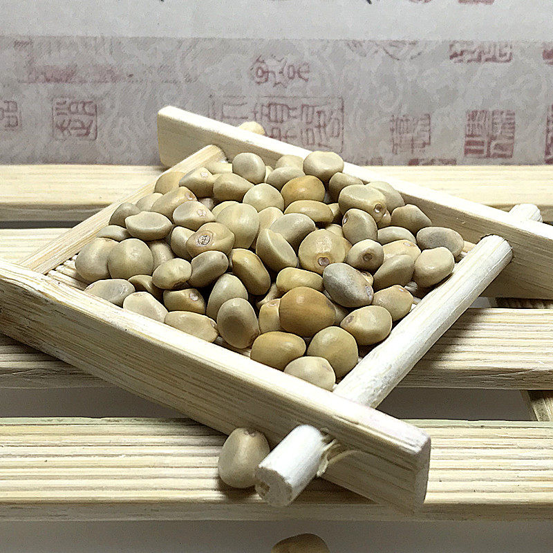 老豆500g包邮铁打拐子跌打小偷豆子土匪中药材其他药食同源食品