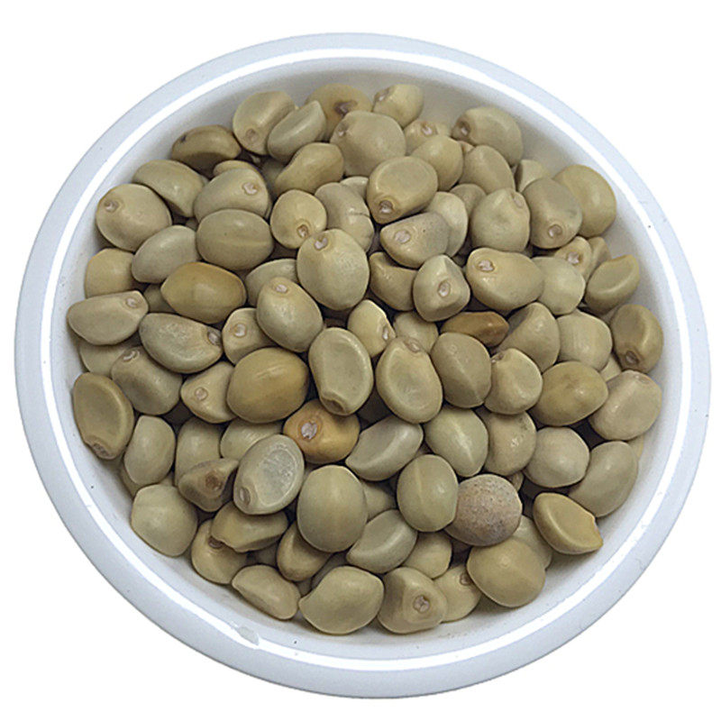 老豆500g包邮铁打拐子跌打小偷豆子土匪中药材其他药食同源食品