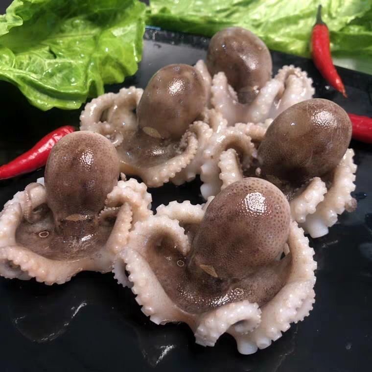 新鲜迷你八爪鱼鲜活野生爆头八抓章鱼连云港海鲜冷冻章鱼