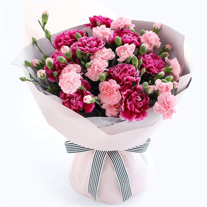 康乃馨花束鲜花速递同城北京妈妈教师节长辈生日礼物鲜花速递同城