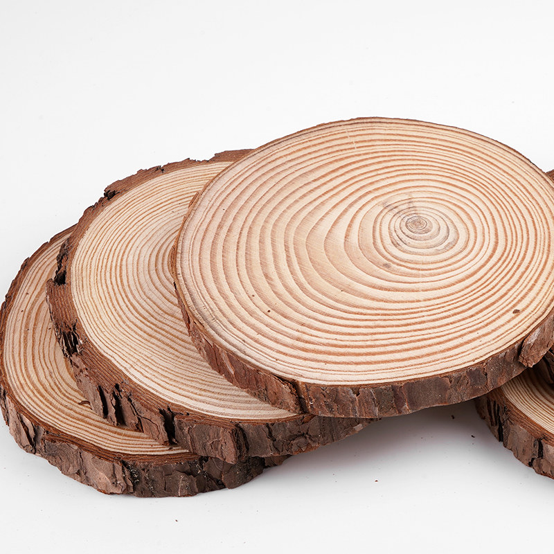 木片原木年轮diy木头装饰背景墙手绘绘画实木模型制作工具