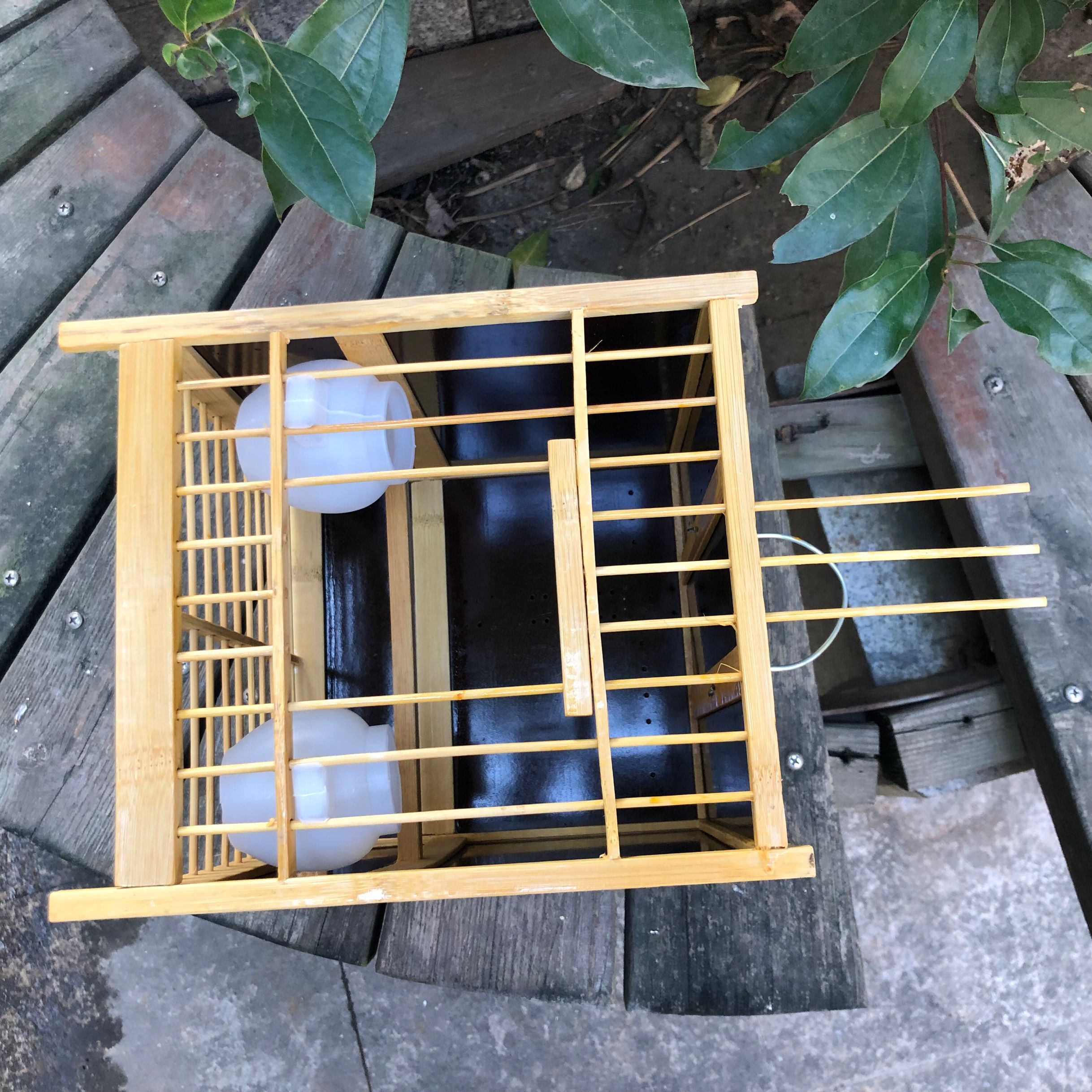 鸟笼竹笼画眉鸟方笼生头笼小型运输洗澡小鸟小号笼子