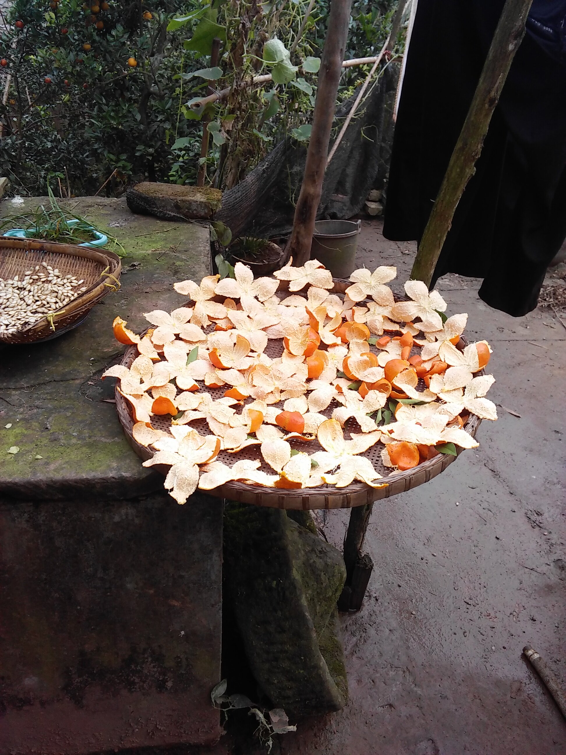 陈允斌推荐四川特产新鲜红桔皮老陈皮红橘皮红桔子