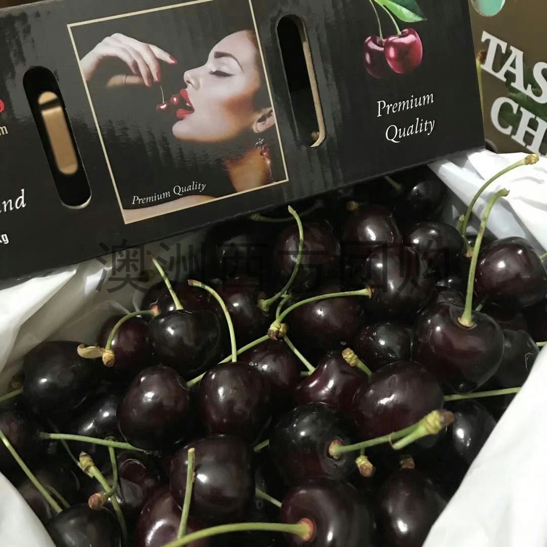 澳洲车厘子黑箱皇家黎明wvf新鲜水果塔斯马尼亚大果4j礼盒新西兰