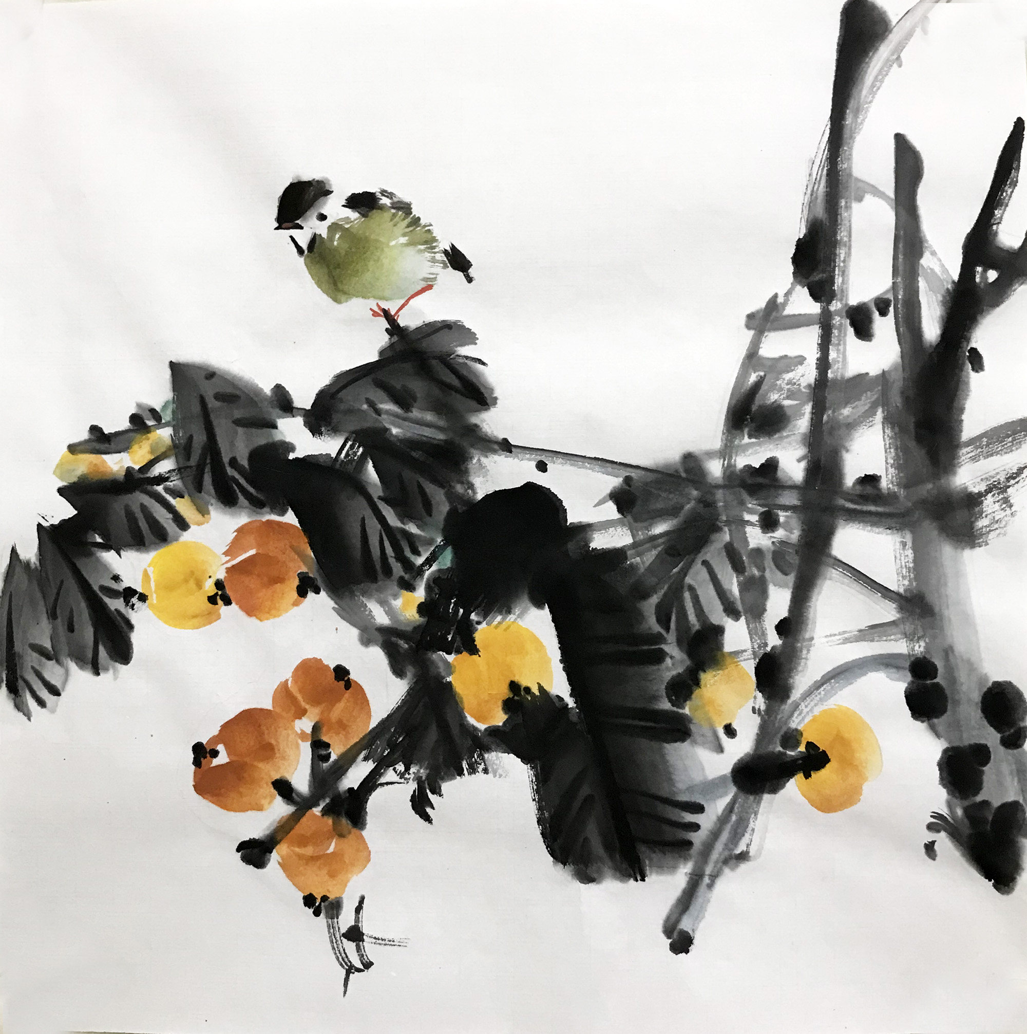 枇杷小鸟3827三尺斗方50cm国画水墨无款手绘国画