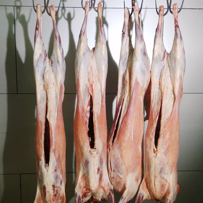 只羊羊羔宁夏盐池滩羊清真白条羊整30斤全羊生羊肉功