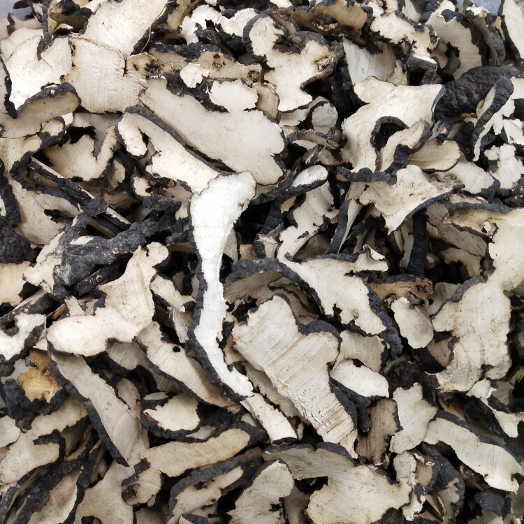 中药材东北特产野生生猪优质猪苓片茯苓屎苓野猪其他药食同源食品