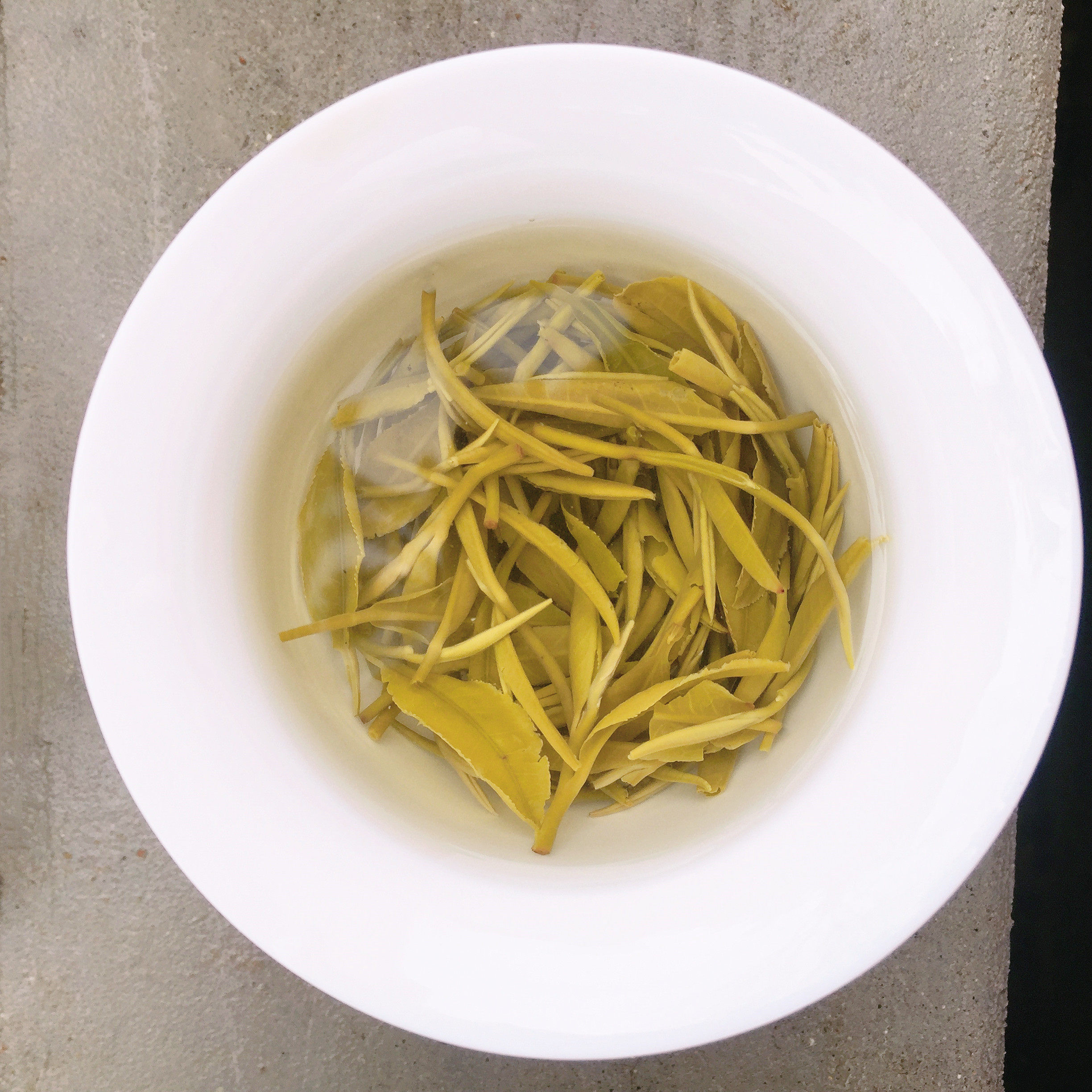 远安鹿溪玉贡茶叶2022黄茶宜昌特产鹿苑毛尖黄茶