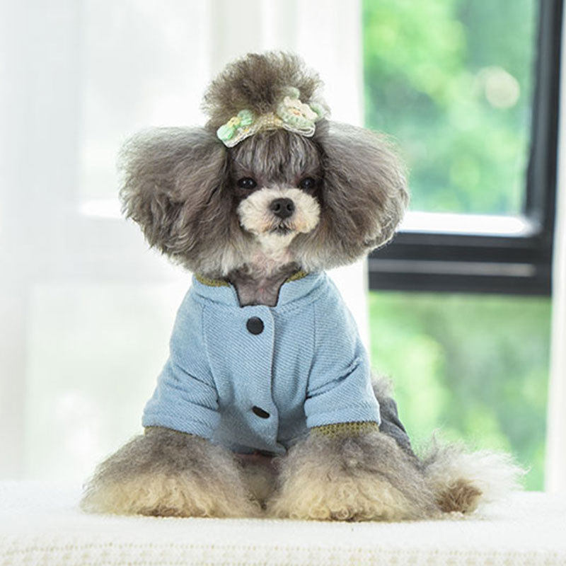 狗狗新款金冠宝贝秋冬冬装宠物宠物狗比熊四脚棉衣狗宠物服装