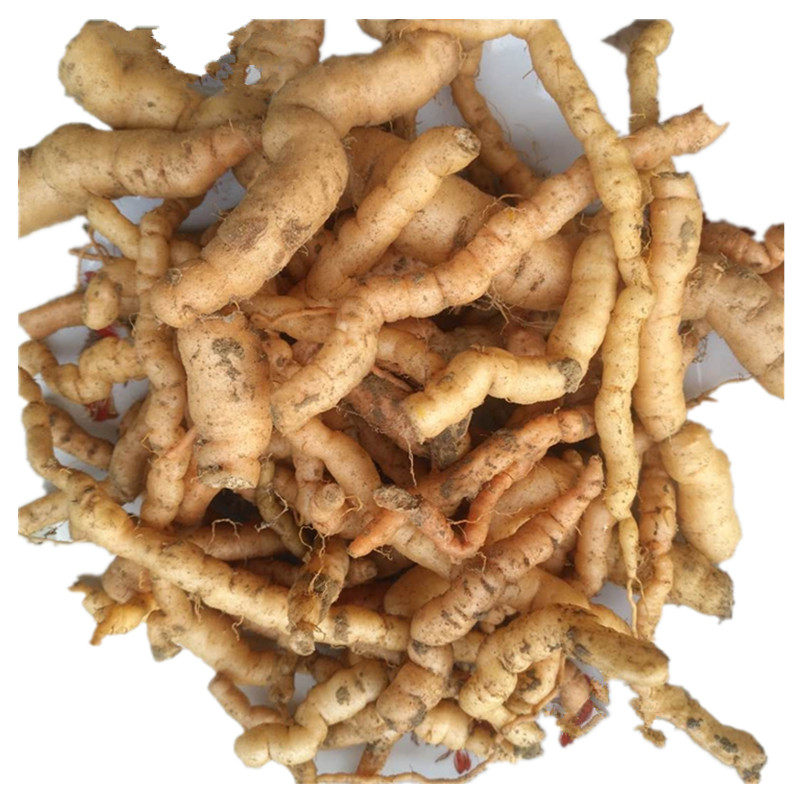 野生新鲜地黄地髓生地怀庆地酒壶花山烟根地干地黄大生地500g包邮