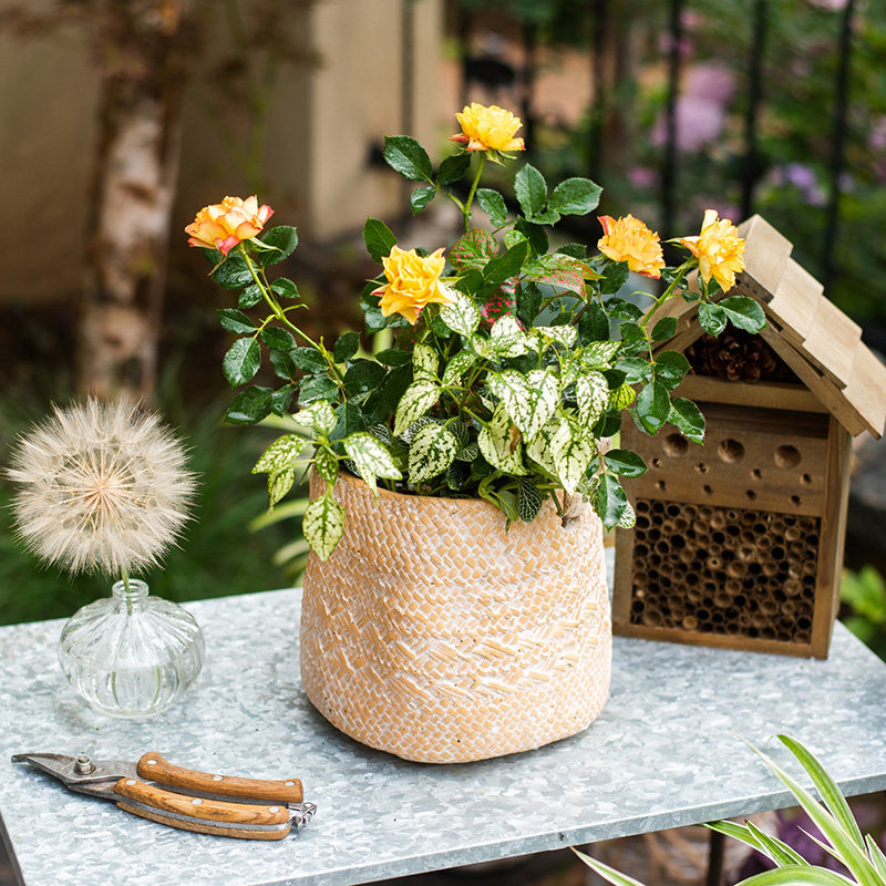 掬涵水泥花器装饰花盆花筒花瓶吊篮盆栽摆件花盆
