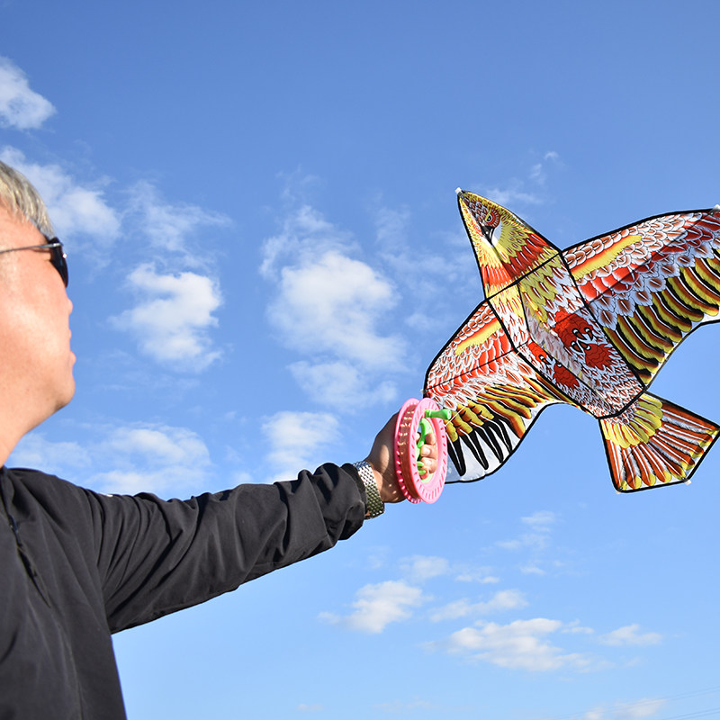 华筝天鹰风筝简单好飞成人老鹰撑杆结实耐用风筝