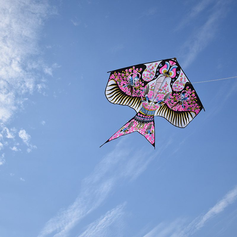 潍坊华筝烫金金沙风筝儿童传统初学微风大型风筝