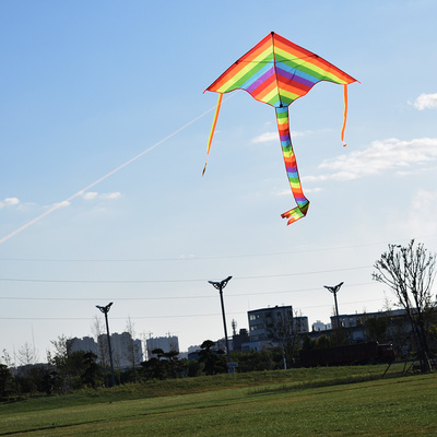 华筝彩虹彩条长尾多尾儿童卡通初学易飞带线轮风筝