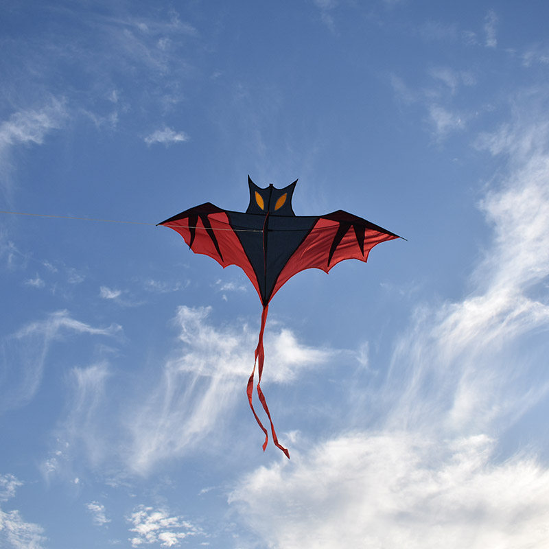 华筝蝙蝠风筝黑红闪电前杆新款潍坊传统成人风筝