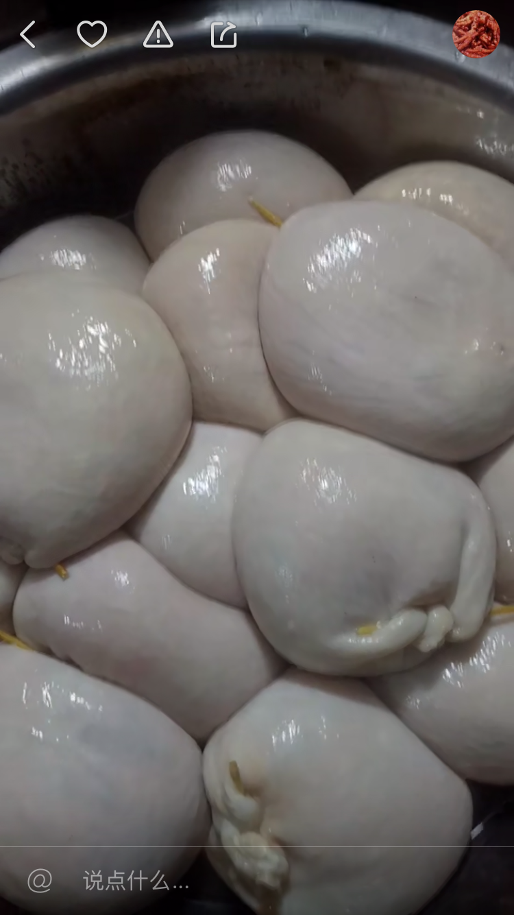 盐渍新鲜猪膀胱猪尿泡肚皮可做松仁小肚香肚粉肚装8两左右1件10个