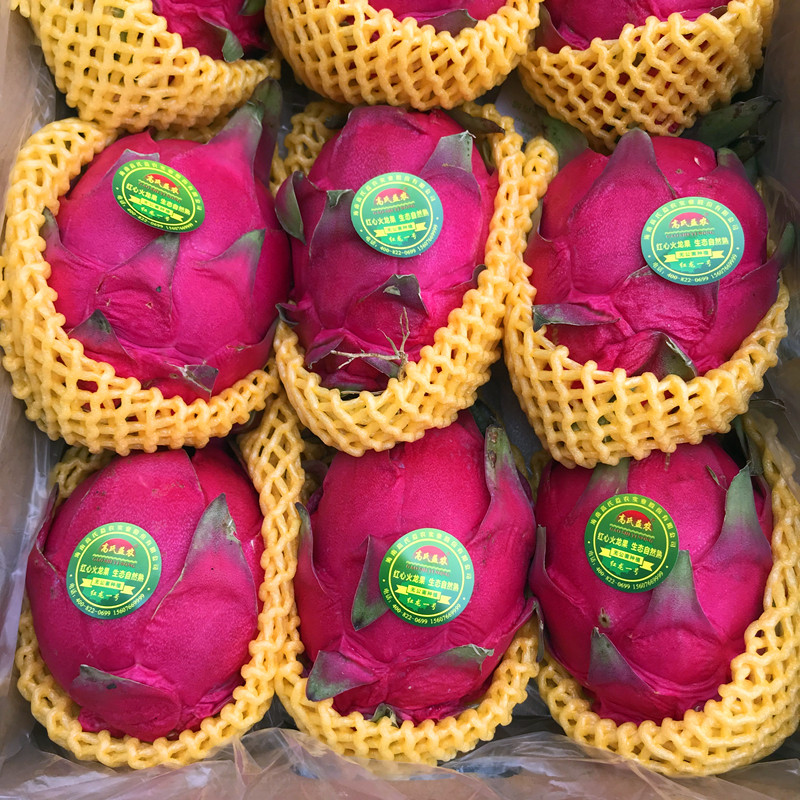 海南高氏益农红心蜜宝10斤果皮薄味多汁火龙果火龙果