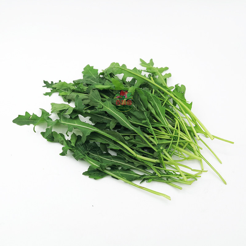芝麻麻叶新鲜蔬菜火箭健身沙拉菜披酱料即食其它