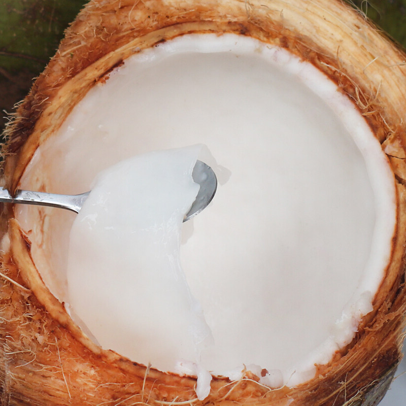 海南椰子带皮椰青新鲜现摘椰子孕妇水果热带当季整箱6个椰汁椰肉