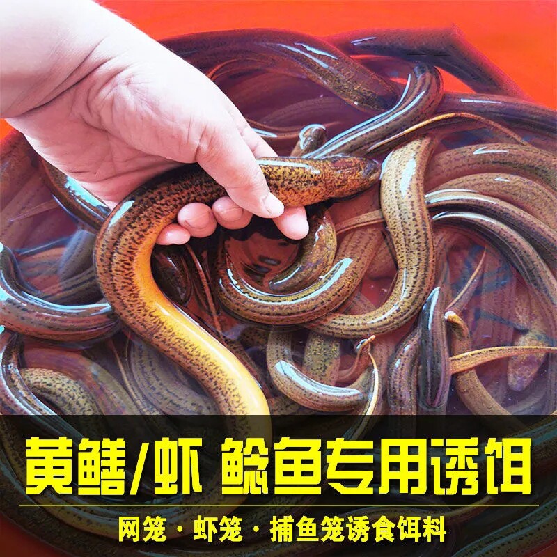 黄鳝泥鳅龙虾河鳝鱼饵料捕鱼鱼网专用虾料鱼饵台钓饵