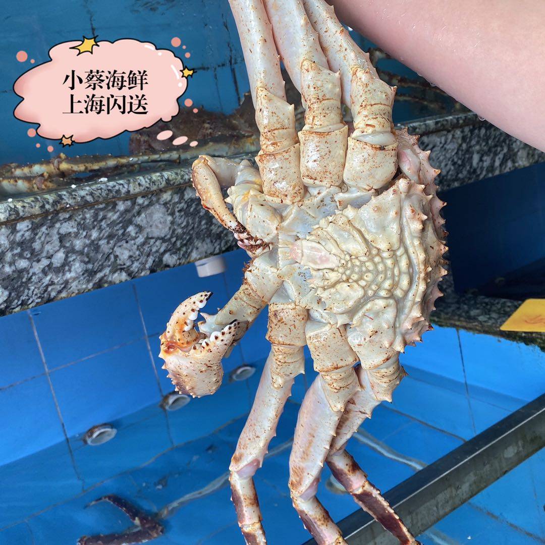 帝王鲜活阿拉斯加澳洲澳洲龙龙虾超特特大皇帝长脚帝王蟹