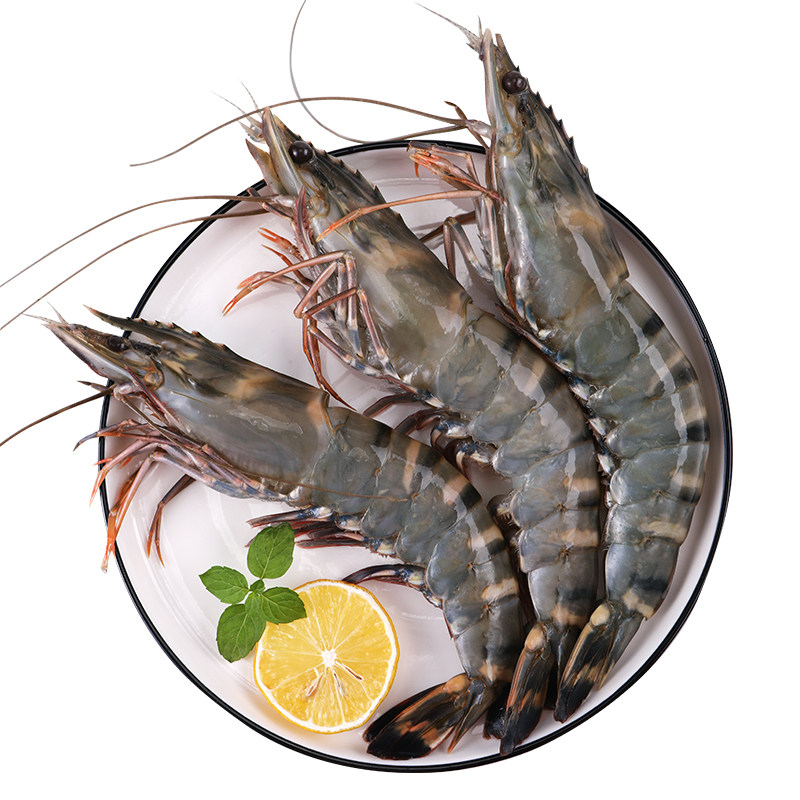 虎虾超大老虎虾黑虎虾海鲜礼盒鲜活冷冻斑节虾冰虾北极虾基围虾