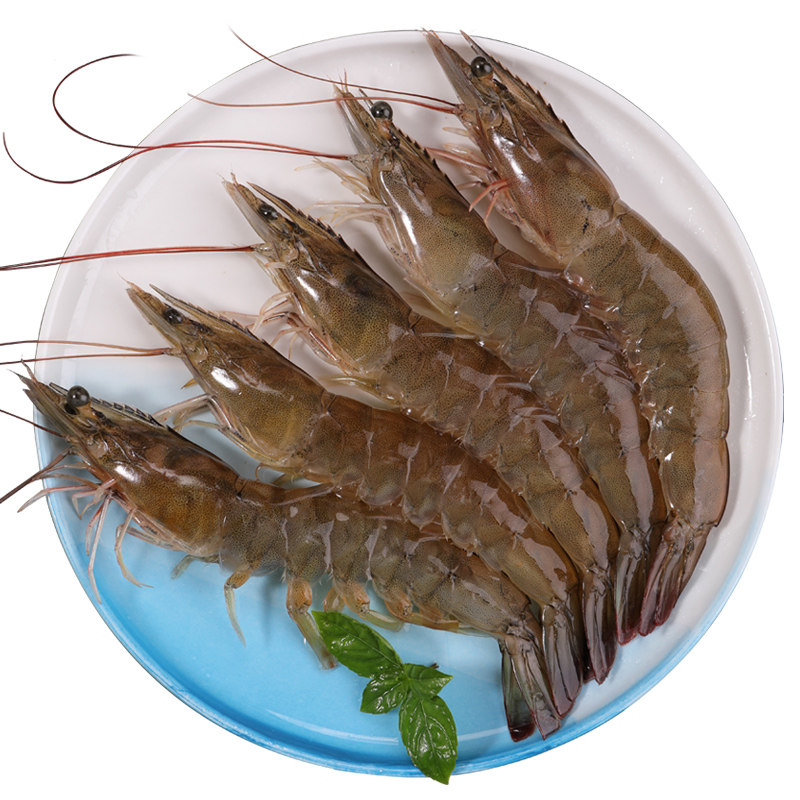 虾鲜活海鲜水产新鲜海虾大虾超大基围虾对皮皮虾大连野生活体冷冻