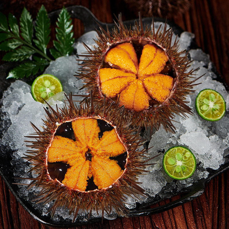 海胆黄海胆海鲜刺身即食锅子3-4只超大鲜活新鲜海胆