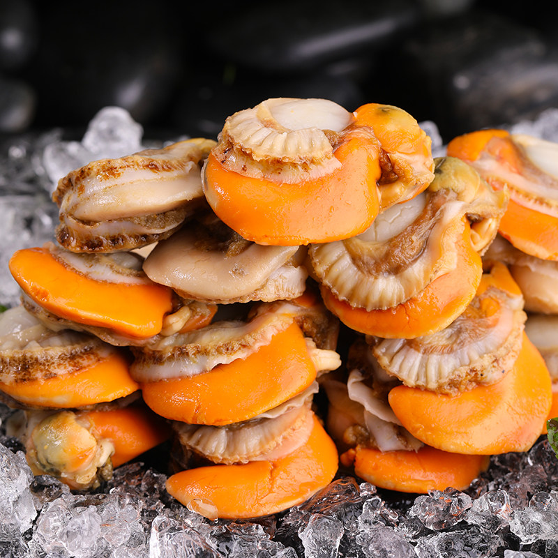 扇贝新鲜鲜活活现冷冻海鲜水产超大鲜贝蒜蓉扇贝