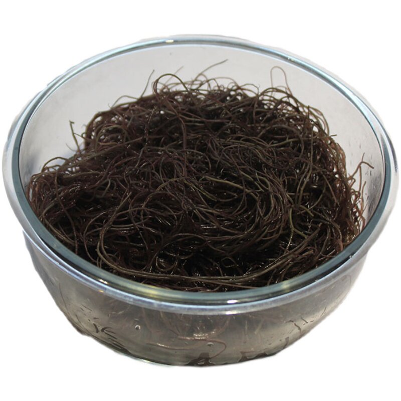 福建霞浦特产天然日晒海发菜500g海藻海草龙须菜海带