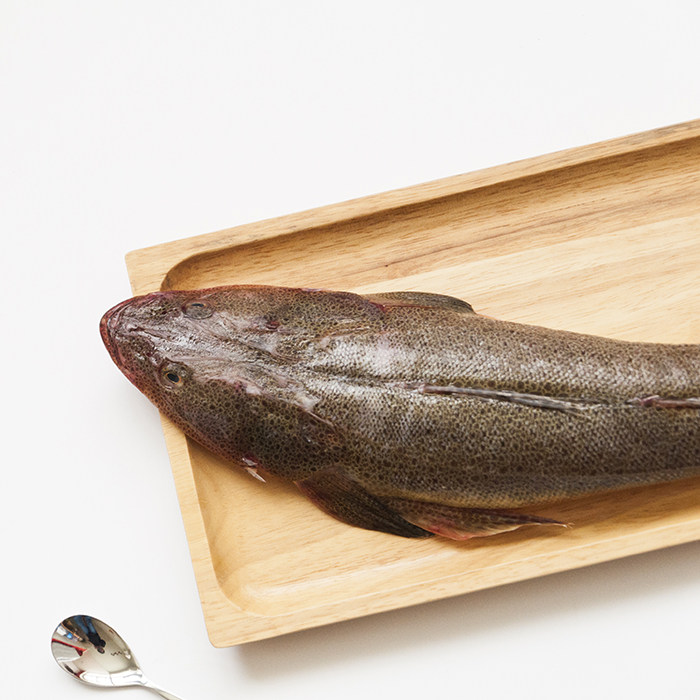 威海鲜活海鲜冰鲜新鲜海鱼野生海鱼野生鱼辫子鱼狗腿鱼牛尾鱼鲬鱼