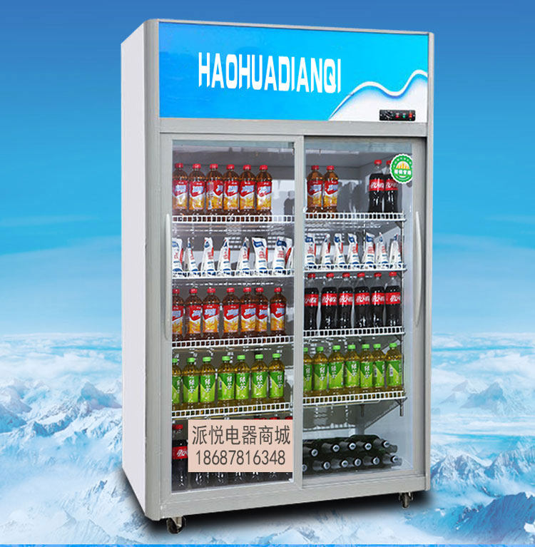 展示柜立式冰箱饮料双门大容量冰柜冷藏保鲜移门冷藏展示柜
