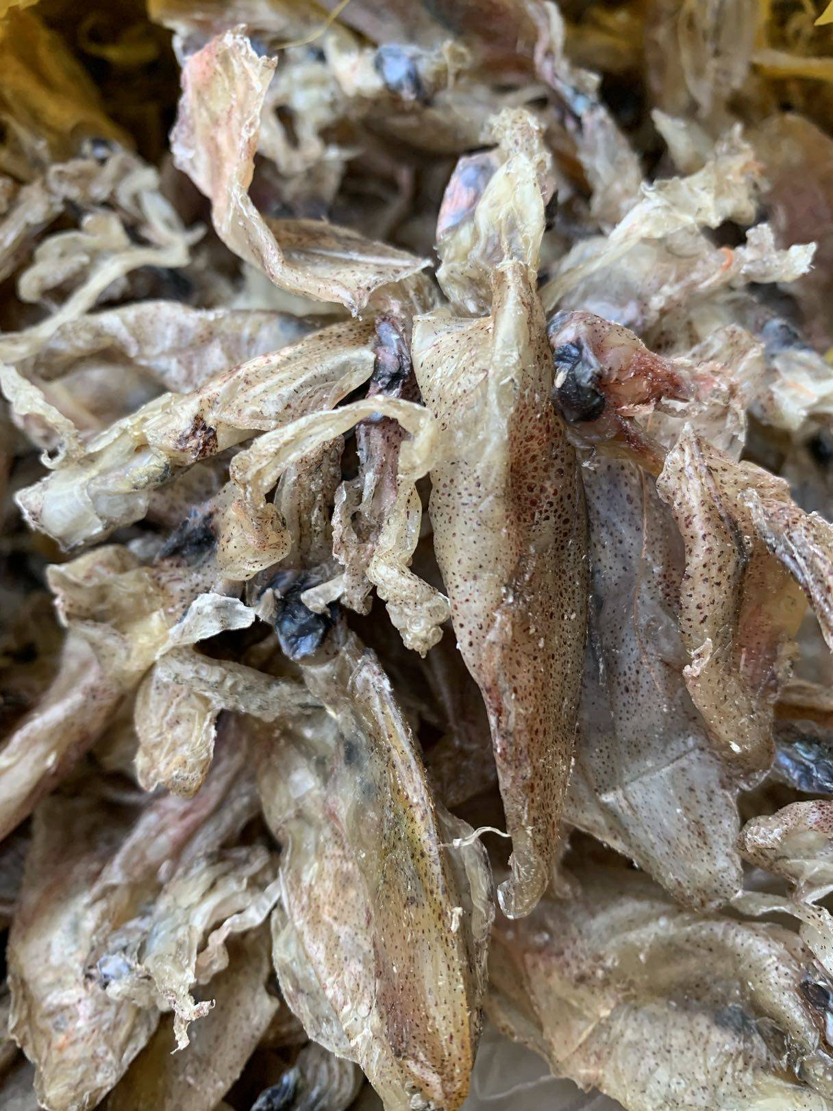 船上鲜晒野生海兔干淡干无小鱿鱼干净无沙款海鲜鱼干
