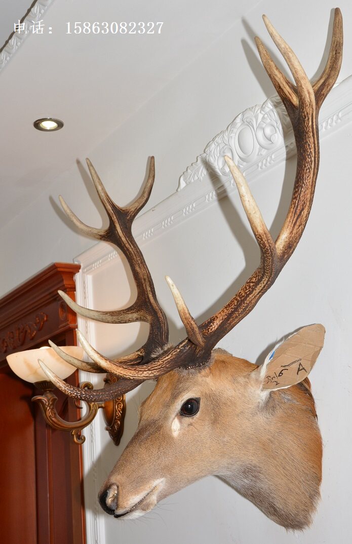鹿头标本壁挂壁饰6a大号鹿角生财挂件欧式壁饰