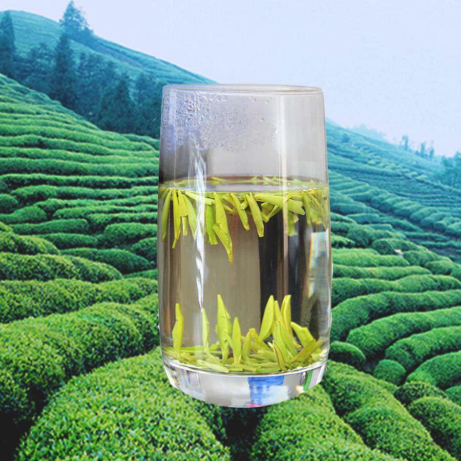 四川雀舌2021年新茶明前头采毛尖竹尖茶叶峨眉山青叶甘露特级250g