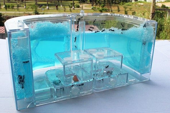 蚂蚁包邮宠物工坊工房别墅家园半圆形组合蚂蚁城堡蚂蚁