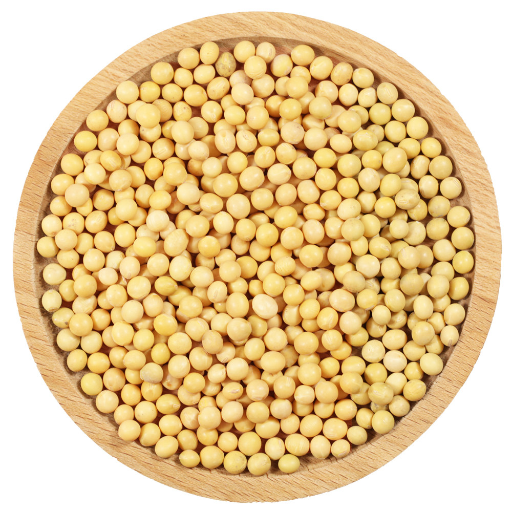 黄豆农家自种椭圆形5斤豆浆豆芽新黄豆子杂粮黄豆