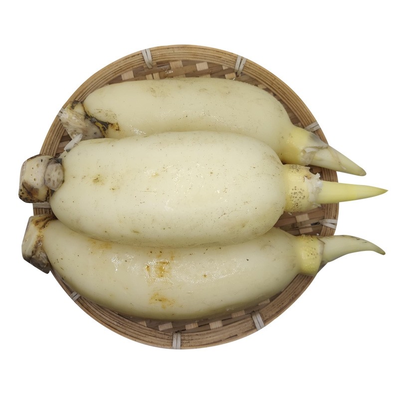 莲藕新鲜湖北藕粉白湖天门仙桃汉川生吃3斤装莲藕