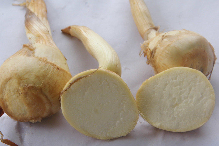 湖北新鲜农家慈姑白茨菇慈菇慈姑茨菰马蹄白菇慈姑一份包邮