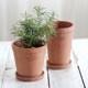 High-end texture cement flower pot with tray Nordic home gardening rustic and creative simple green plant pot ins style High-end texture cement flower pot with tray Nordic home gardening rustic and creative simple green plant pot ins style