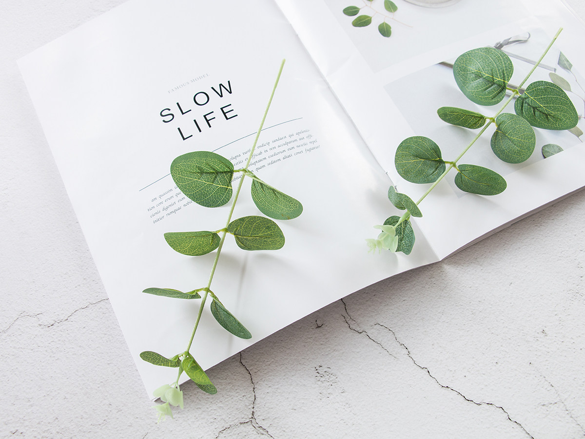 单支仿真尤加利ins极简绿色植物叶子拍照道具摄影背景布类