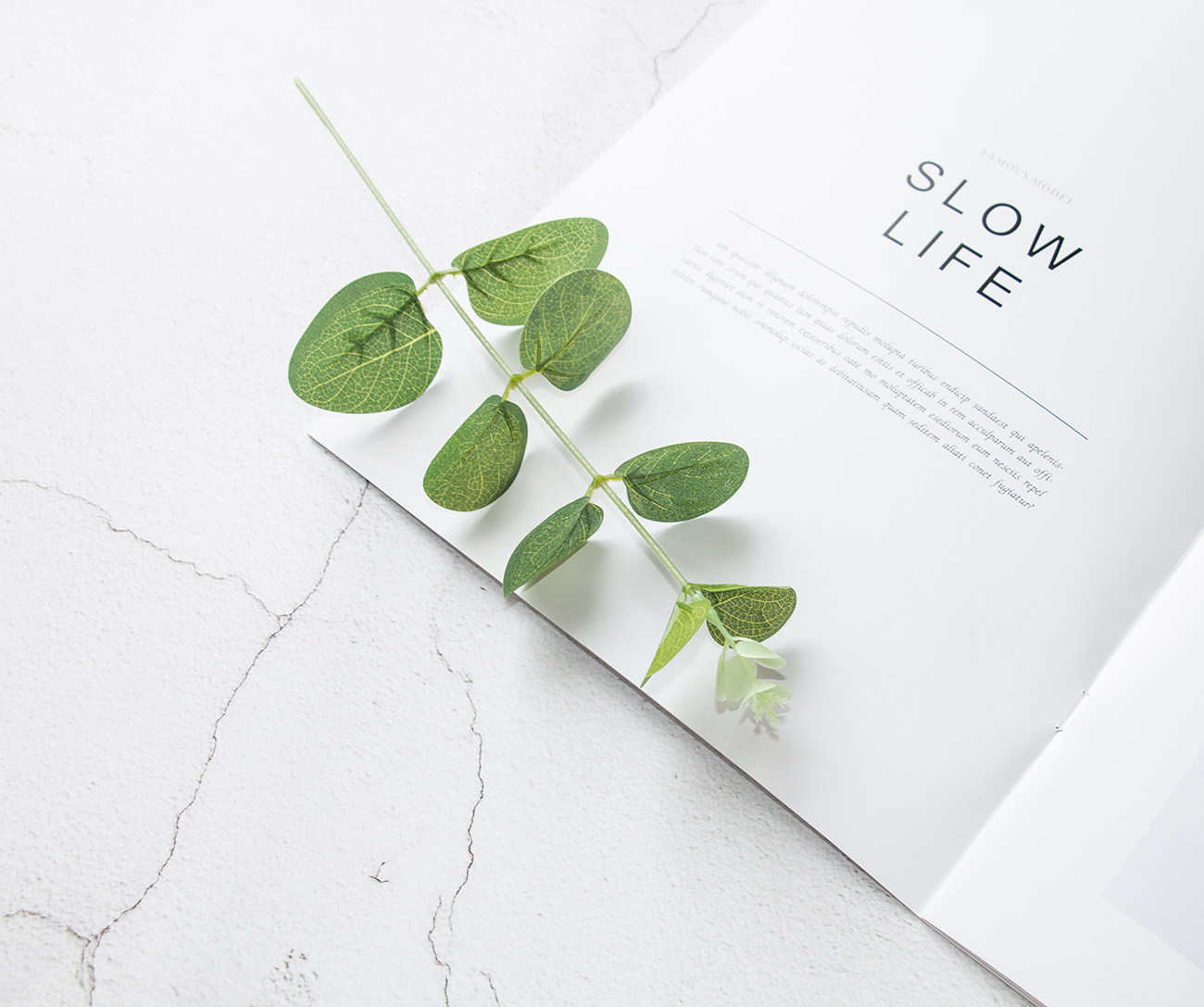 单支仿真尤加利ins极简绿色植物叶子拍照道具摄影背景布类