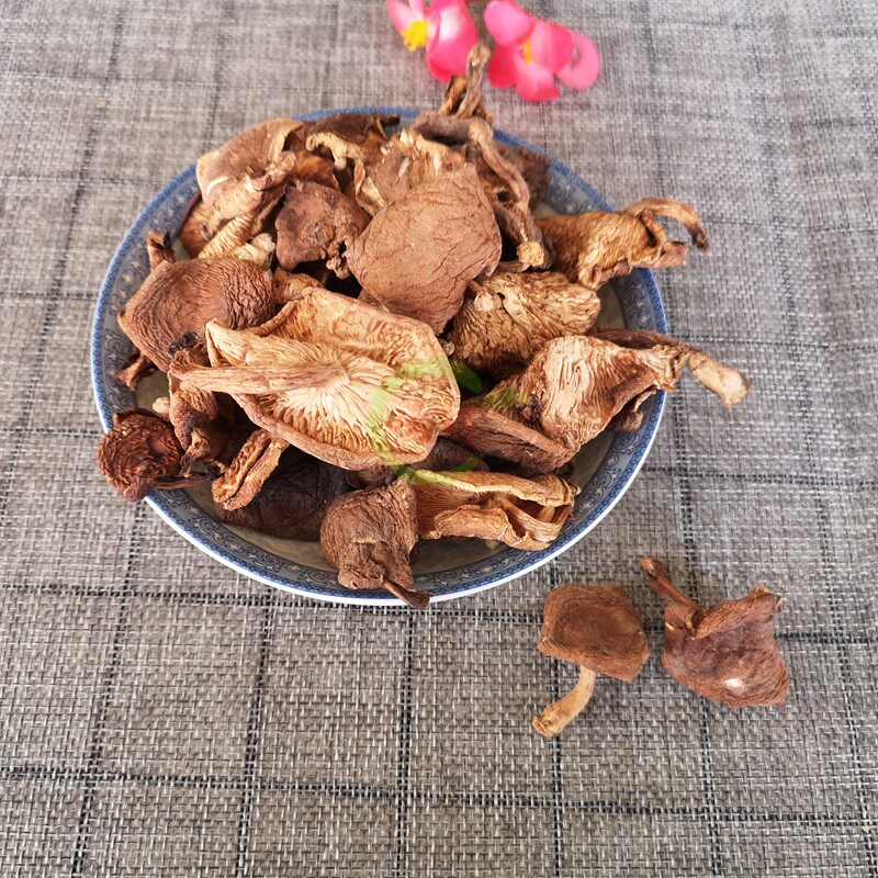 天然野生香菇松蘑菇干货 云南松蘑山货大理土特产500g包邮野生菌