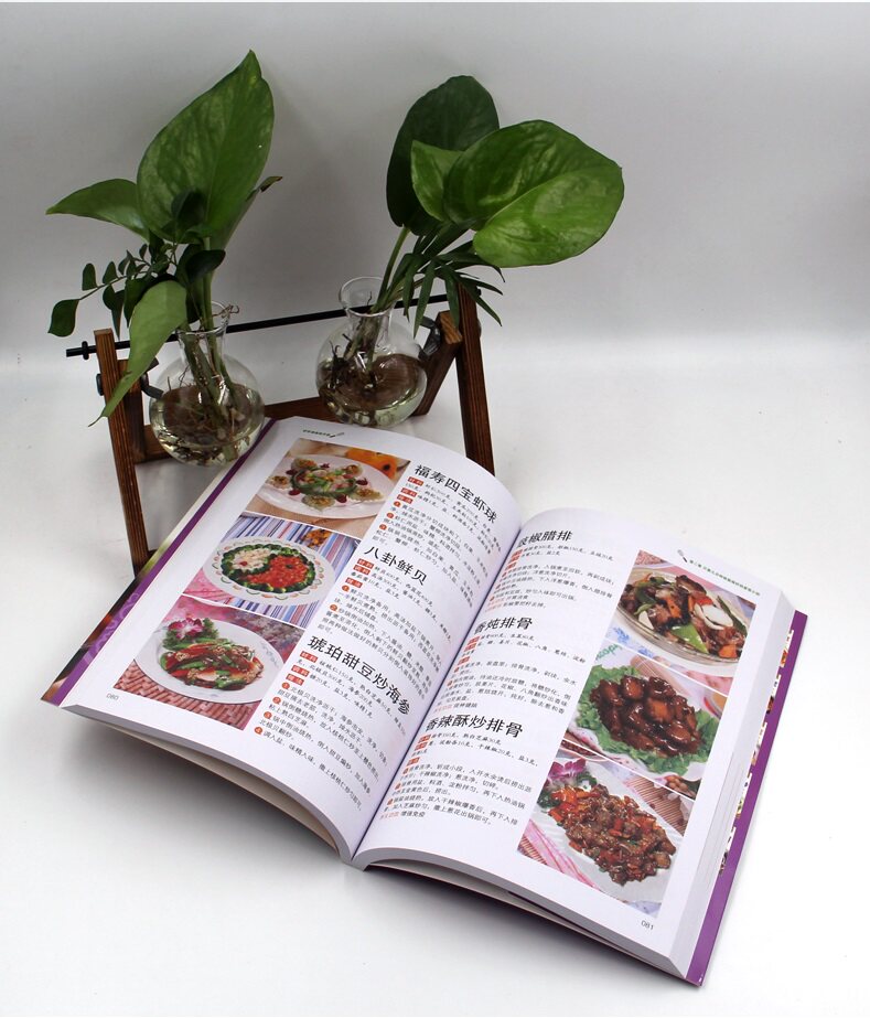 家常菜家常菜谱烧菜家庭小炒菜普食普书籍做法菜谱