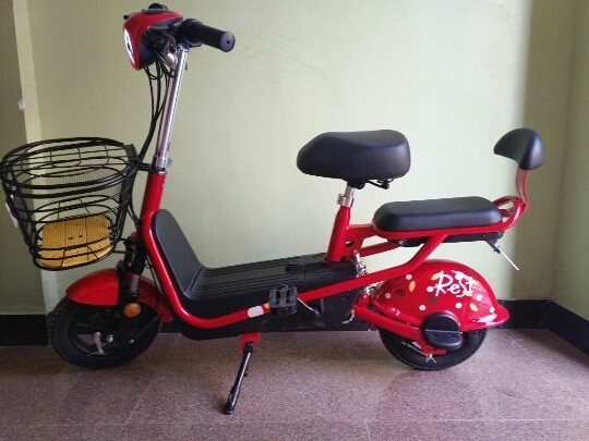 爱玛tdt1008z新国标新波莉电动车专用脚垫脚踏板垫脚电动车脚垫