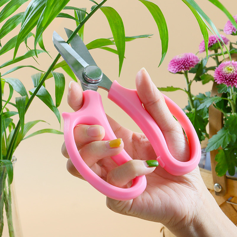 园艺剪刀宽头家用好用修花园林工具鲜花花卉剪花剪刀