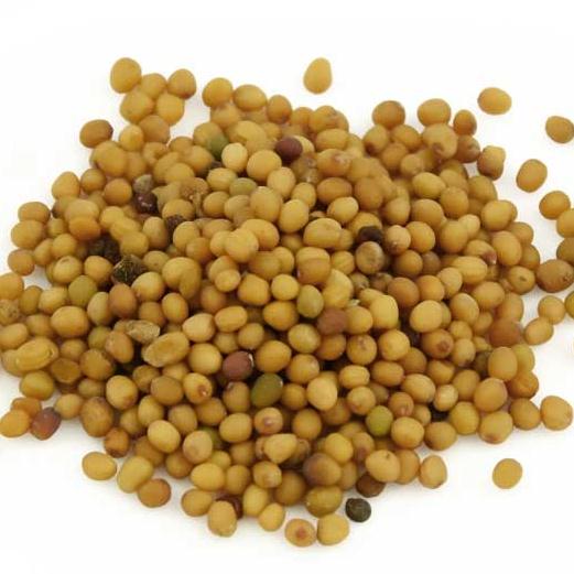 白芥子 6斤包邮 辣菜子白芥籽生芥子 炒白芥子黄芥子 500克g