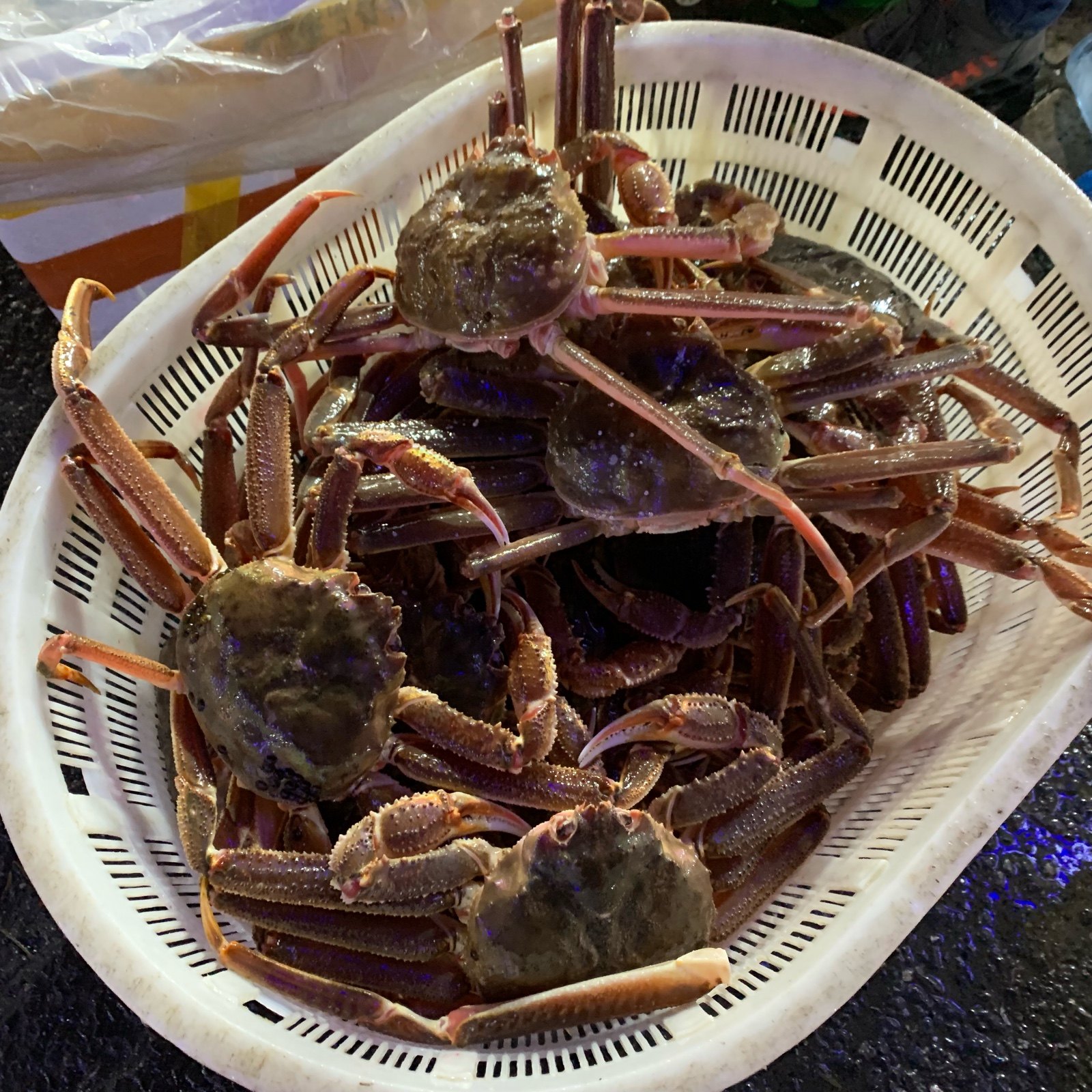 鲜活雪蟹日本籽蟹俄罗斯松叶蟹板长脚海鲜称重帝王蟹