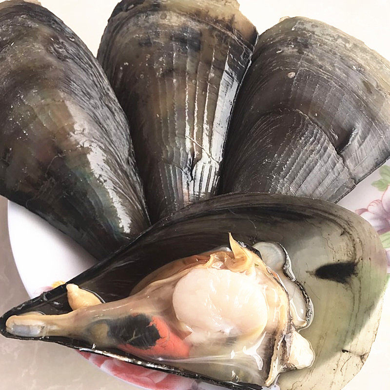 上海闪送海鲜活带子野生瑶柱深海绿贝烧烤贝贝干贝