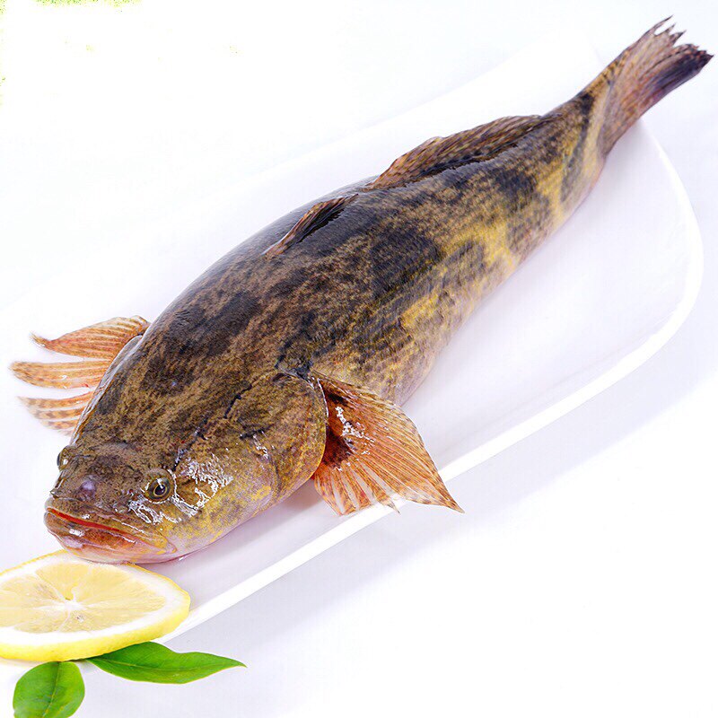 笋壳上海500g顺丰辅食鱼宝宝海鲜新鲜闪送黄笋壳淡水鱼类